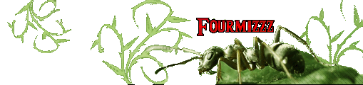 fourmizzz